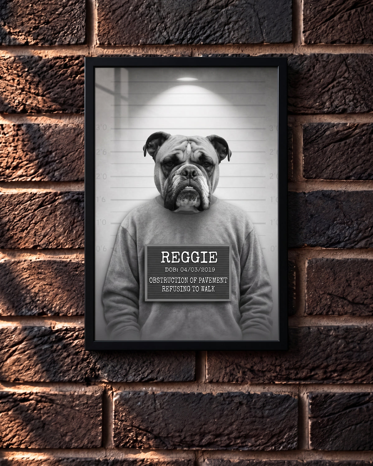The Framed MUGSHOT