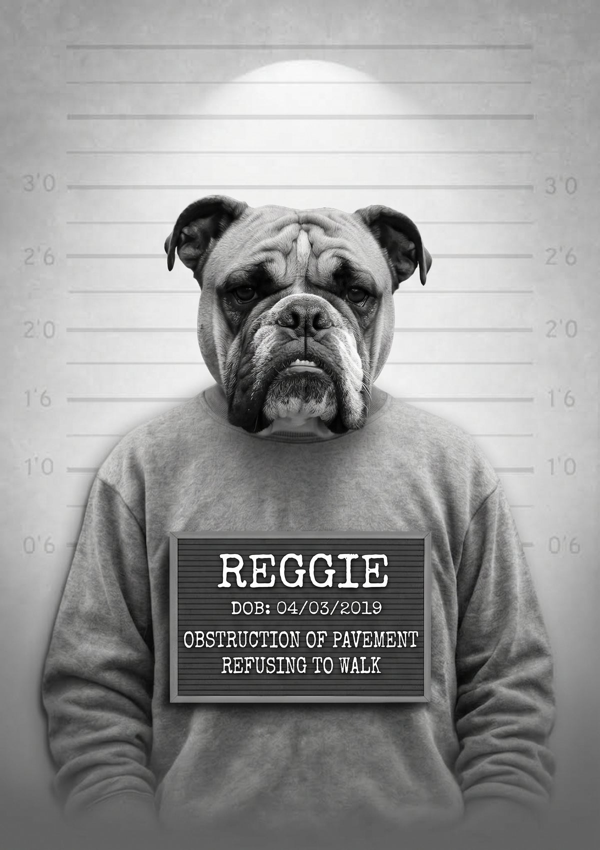 The MUGSHOT