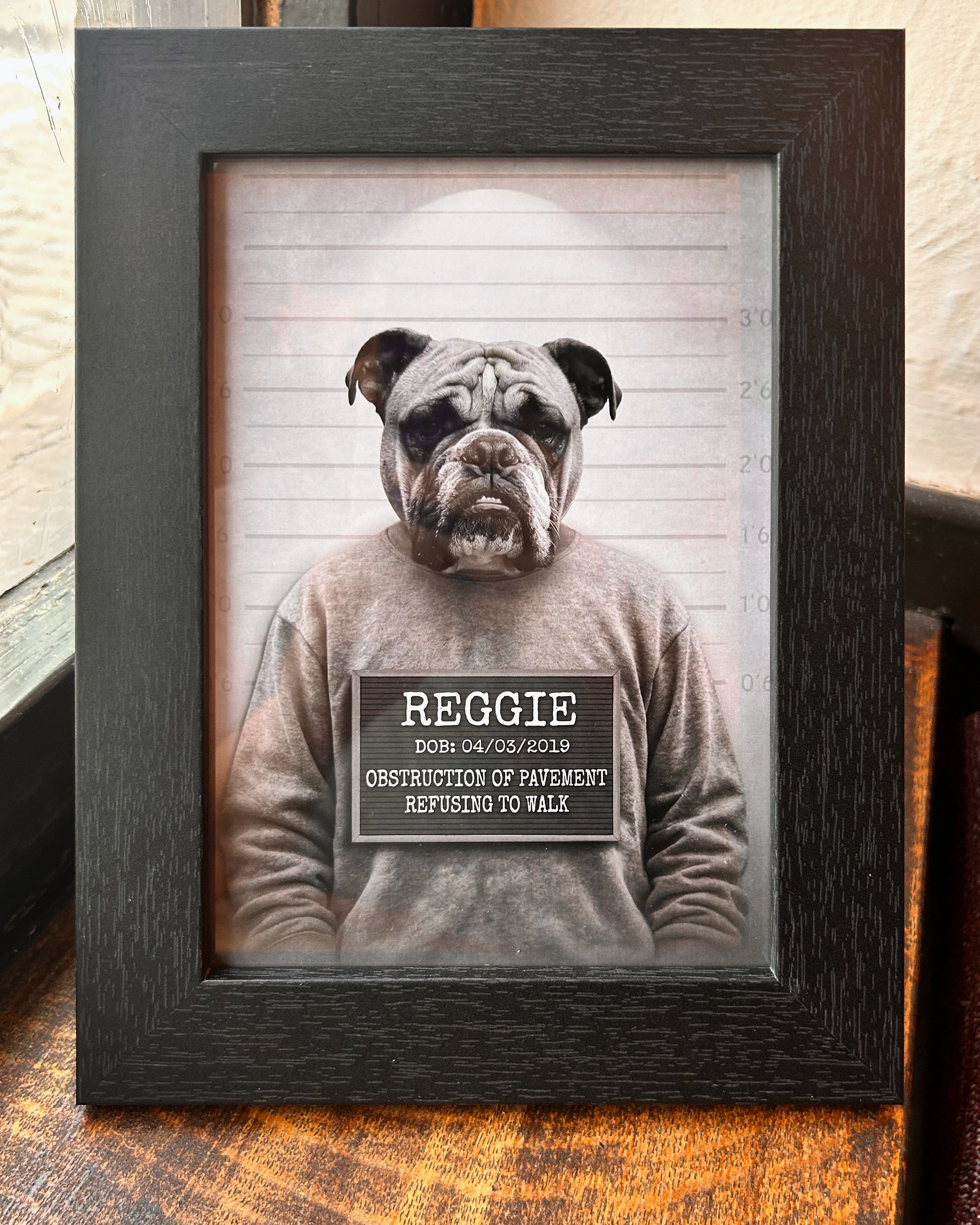 The Framed MUGSHOT — example artwork