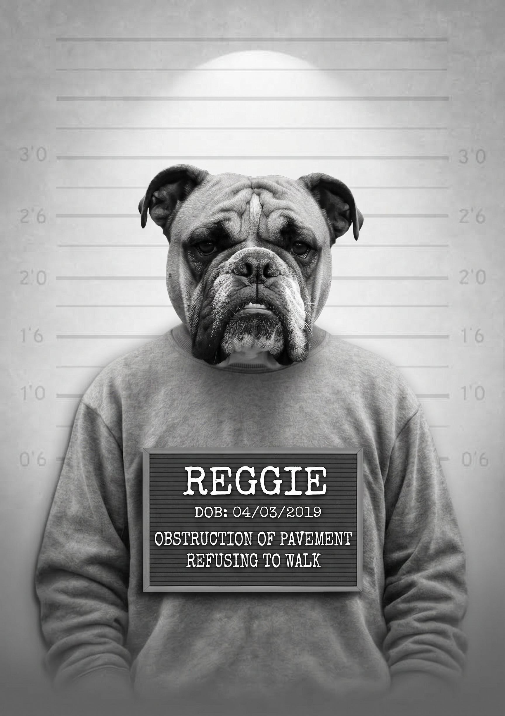 The MUGSHOT — example artwork